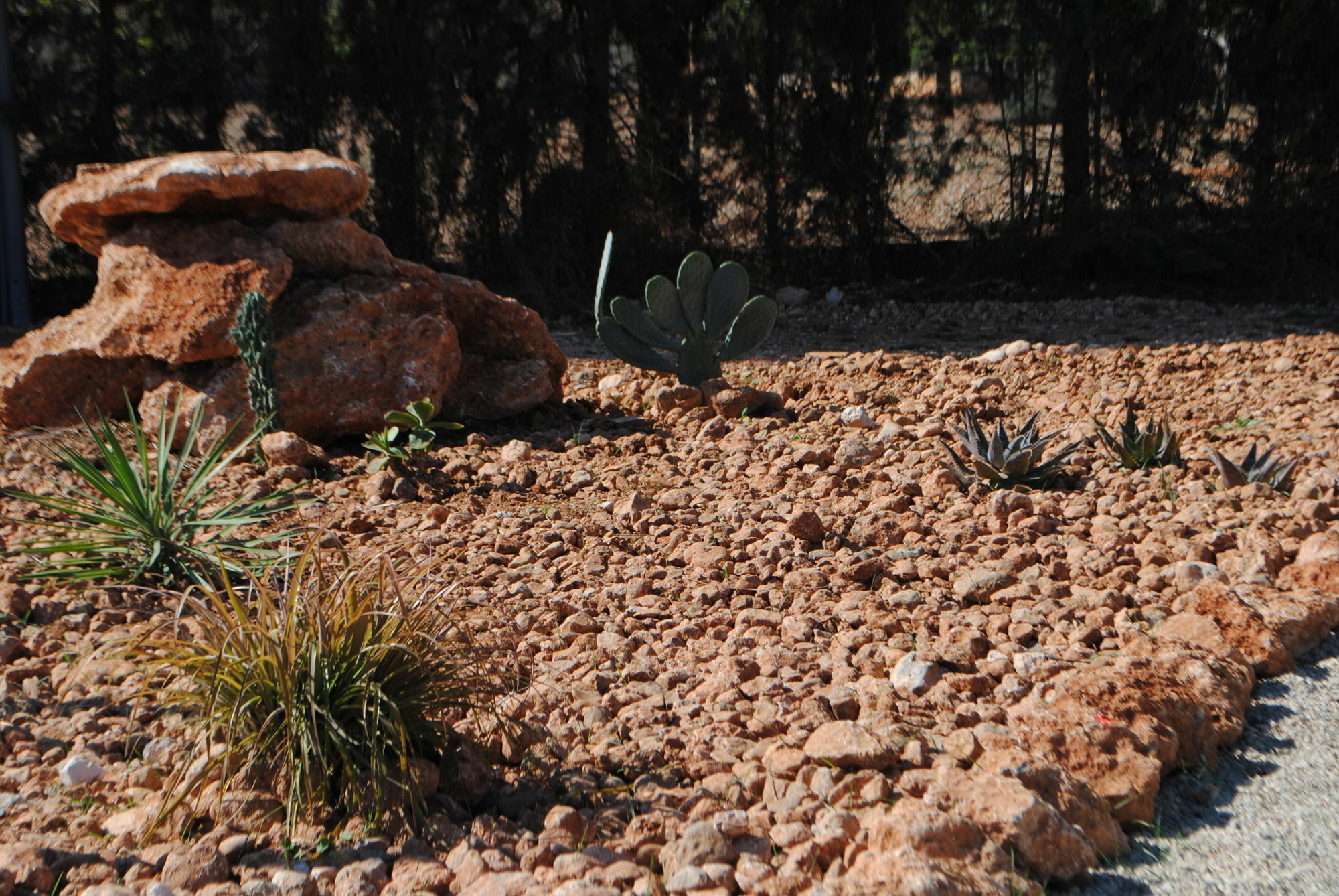 ביניסלם Weingut & Landhotel Can Davero מראה חיצוני תמונה