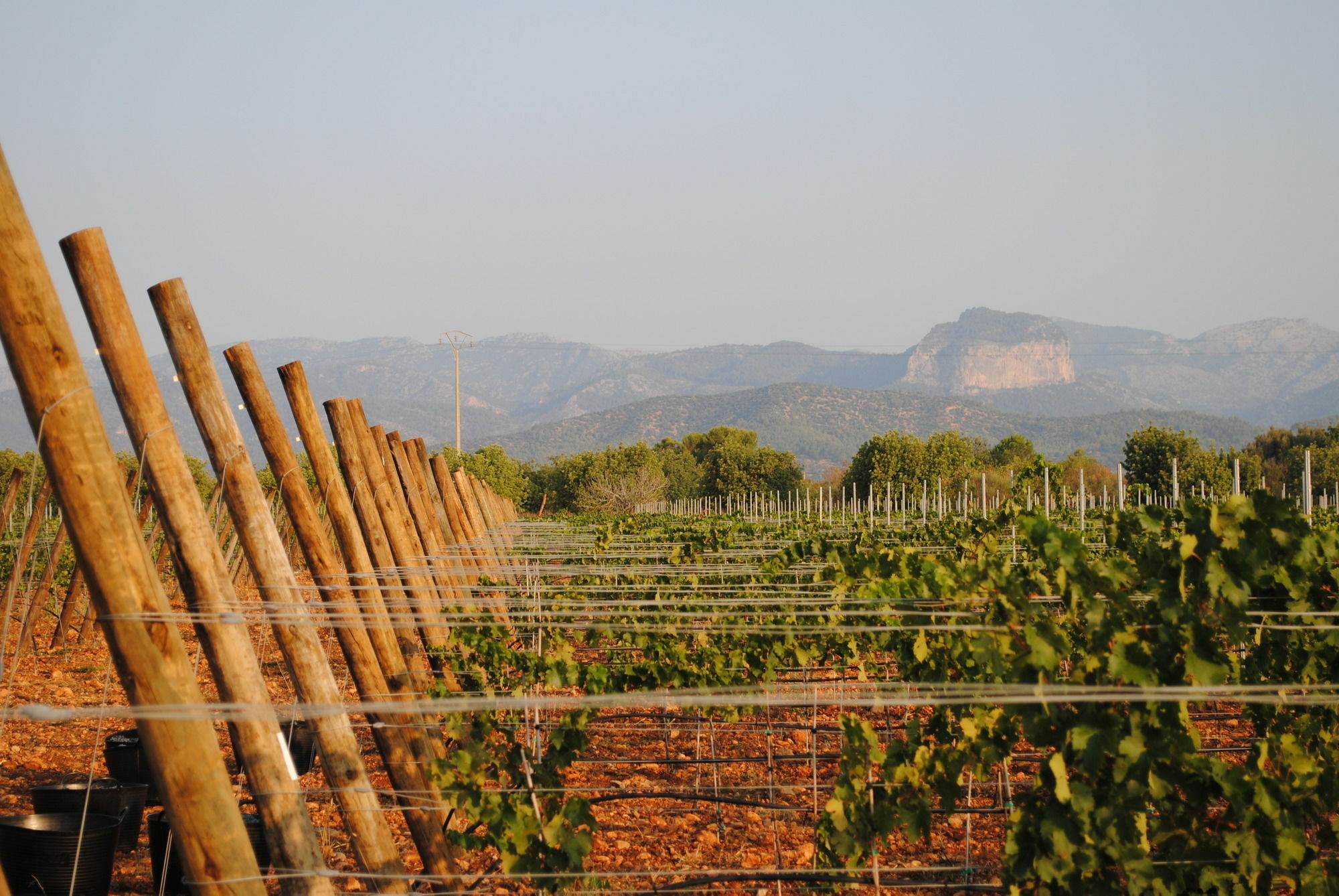 ביניסלם Weingut & Landhotel Can Davero מראה חיצוני תמונה