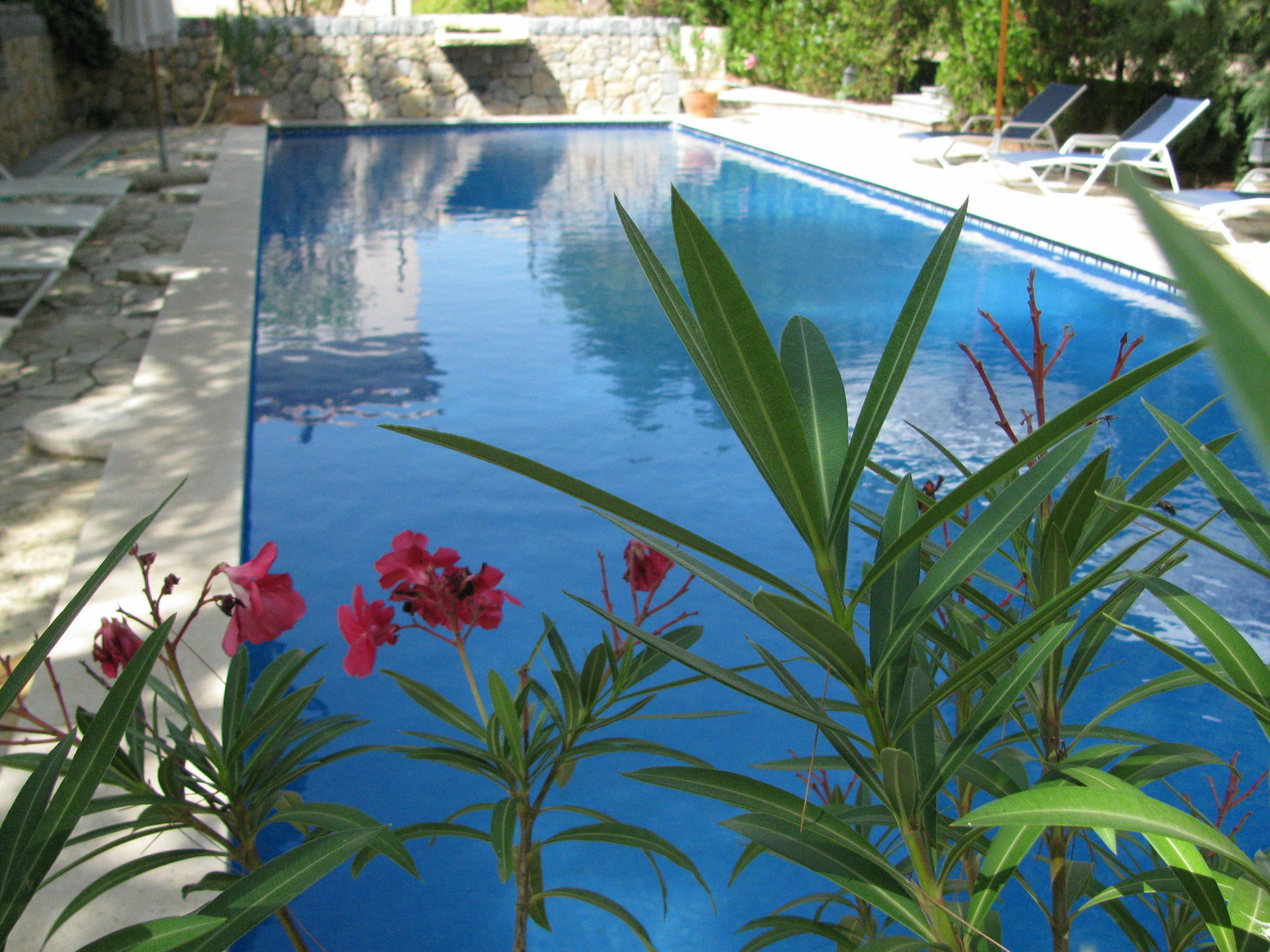 ביניסלם Weingut & Landhotel Can Davero מראה חיצוני תמונה