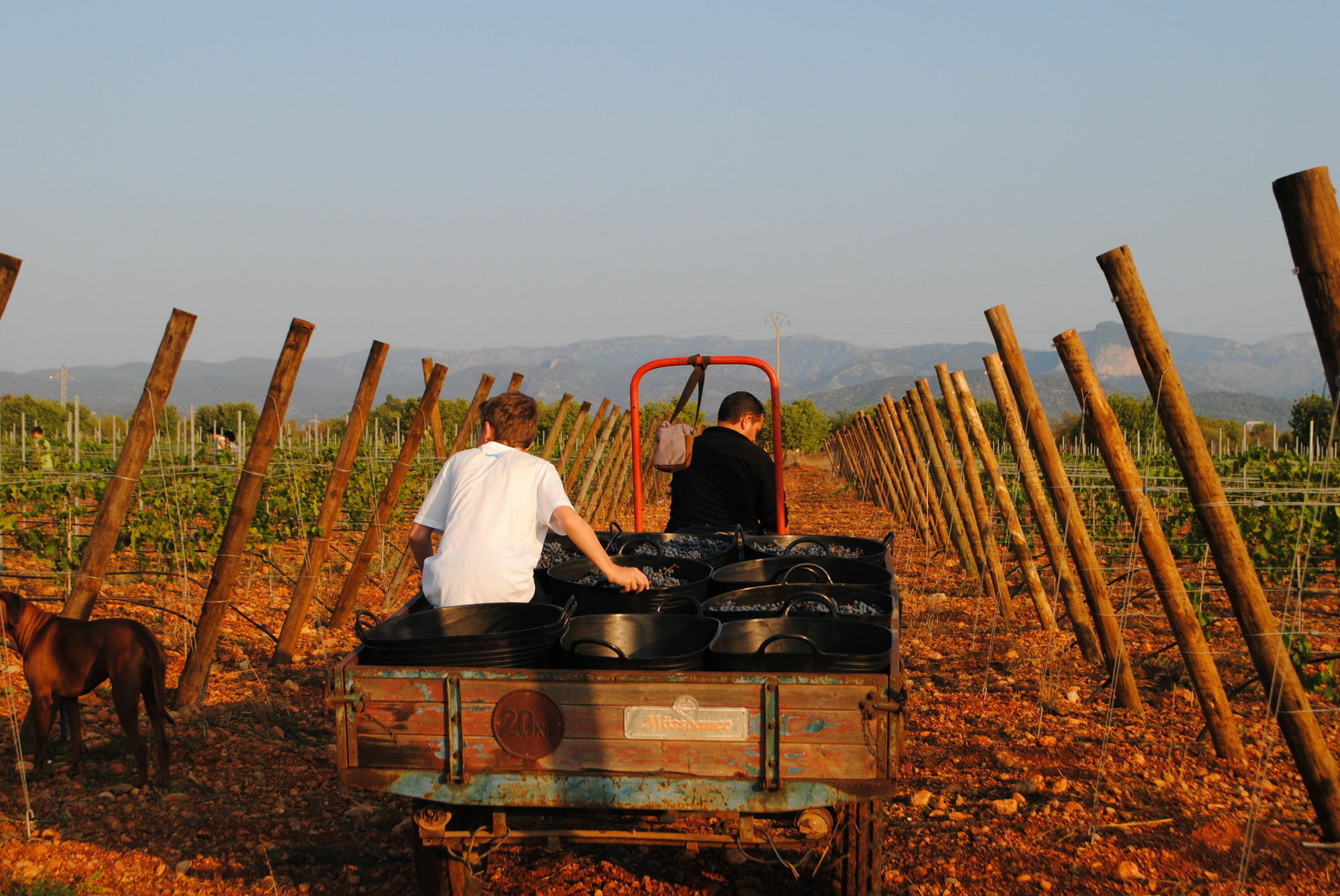 ביניסלם Weingut & Landhotel Can Davero מראה חיצוני תמונה