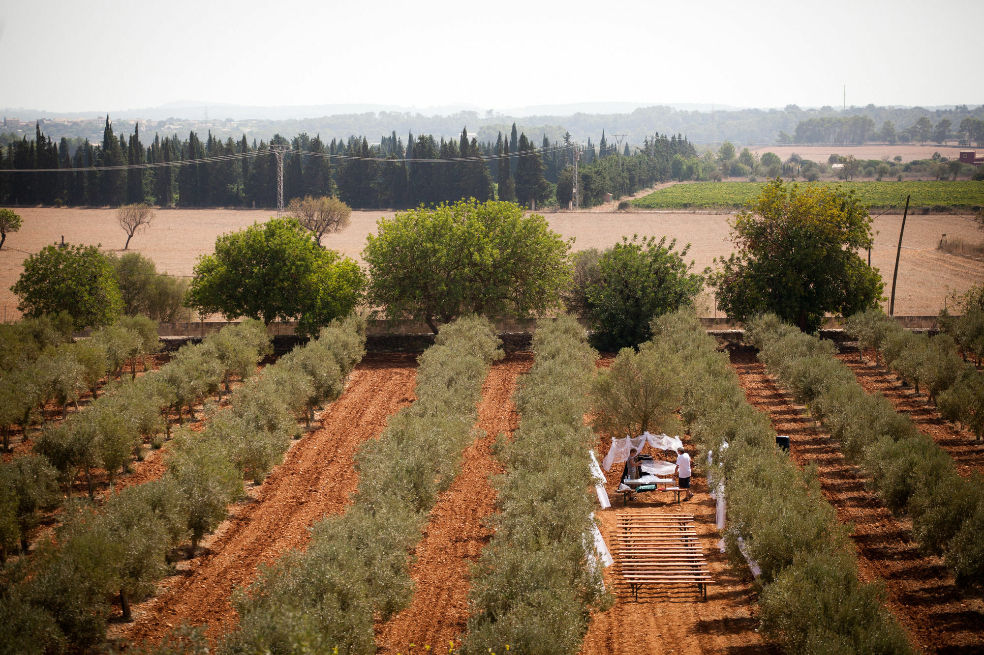 ביניסלם Weingut & Landhotel Can Davero מראה חיצוני תמונה