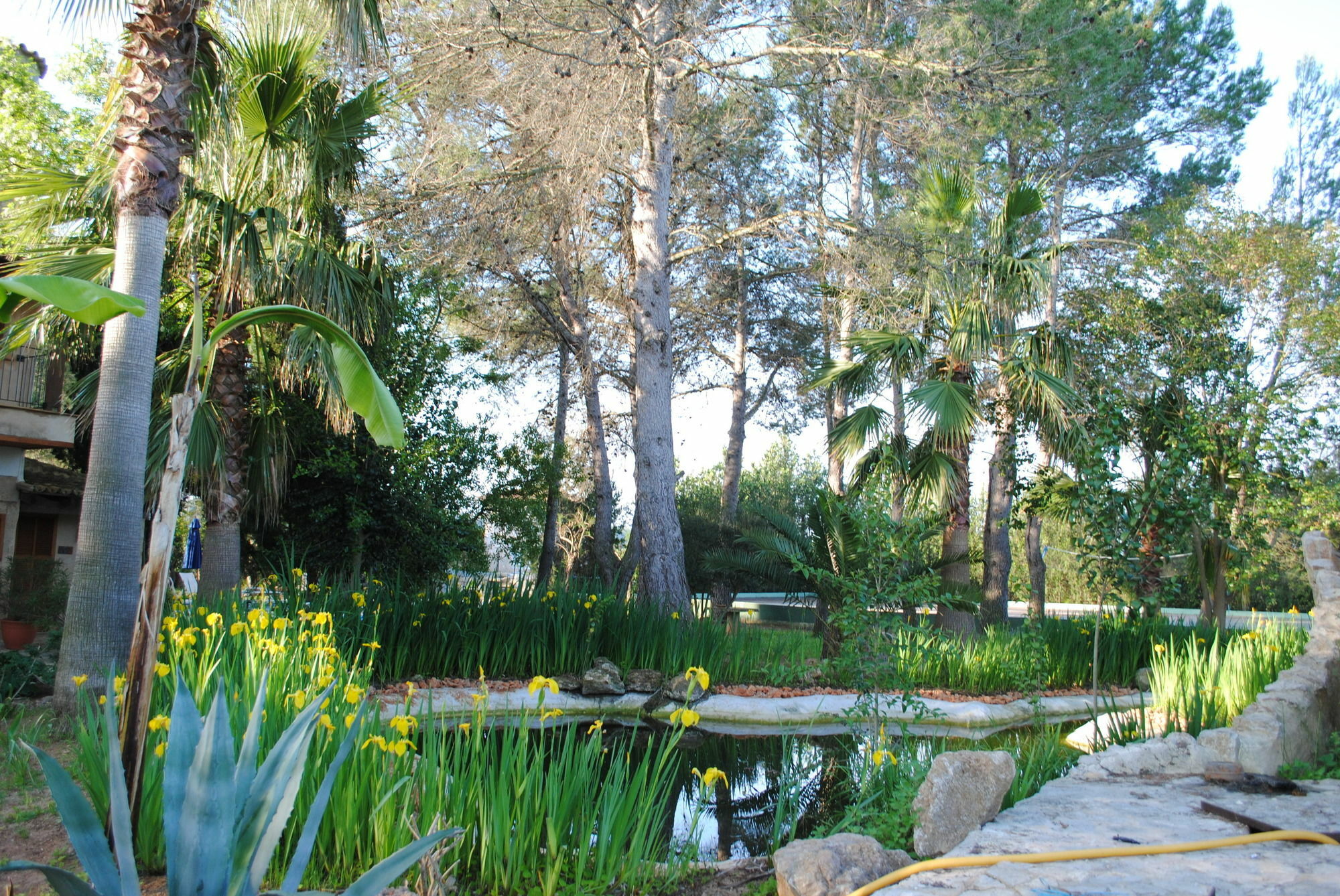 ביניסלם Weingut & Landhotel Can Davero מראה חיצוני תמונה